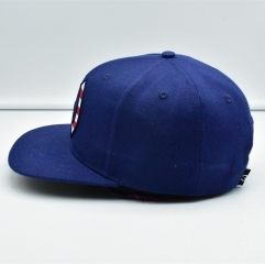 Embroidery Sanpback Caps