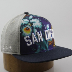 Custom embroidery logo sports cap custom snapback caps hats women snapback hats